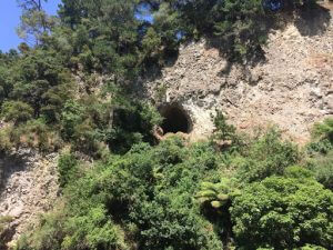 Māori Elder's Rock Cave