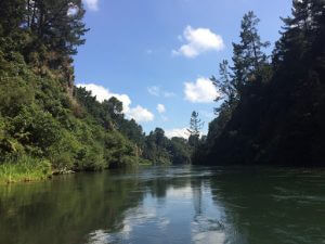 Tutukau Gorge