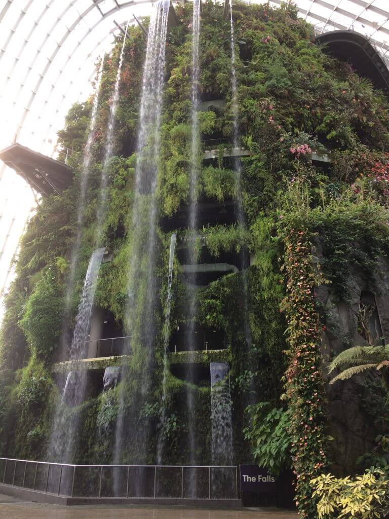 The world’s tallest indoor waterfall at Gardens by the Bay