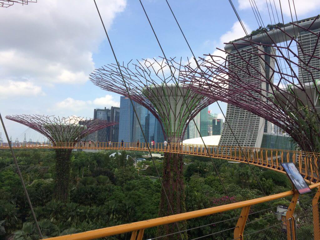 OCBC Skyway